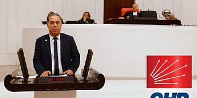 CHP Muğla Miletviki Milletvekili Özcan, Tarım Bakanı Pakdemirli’ye Sordu:  “10 Bin Sığır İthal Edildi, Peki Yerli Besici Ne Yapacak?”