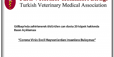 “Corona Virüs, Evcil Hayvanlardan insanlara Bulaşmaz”