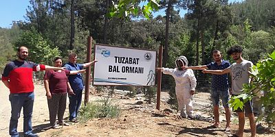 Muğla İdare Mahkemesi, Tuzabat Bal Ormanlarının Lehine Karar Verdi