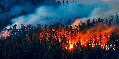 Türk Tabipleri Birliği’nden 2021 Orman Yangınları Değerlendirme Raporu