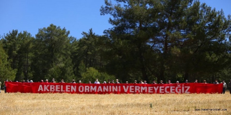 Akbelen Orman Nöbeti 4 Yıl Önce Başlamıştı