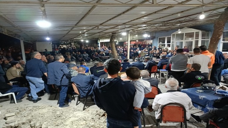 Akhisar’da Zeytin Üreticileri, “Bir Haftalık” Boykota Gidiyor!