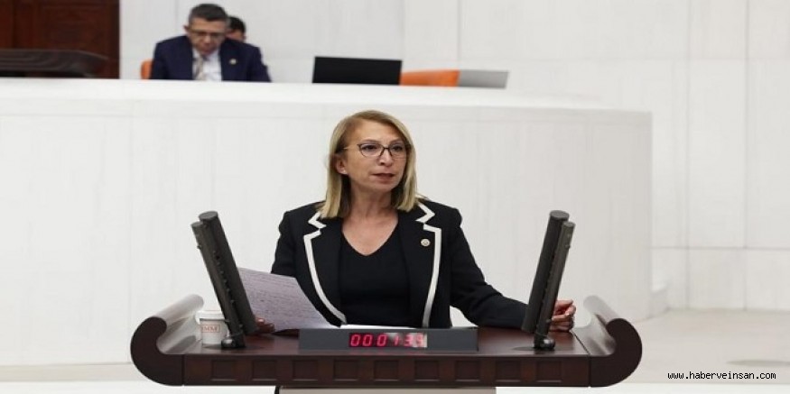 CHP’li Öneş Derici’den, Kıyıkışlacık’taki Maden Limanı Projesi Hakkında, Soru Önergesi