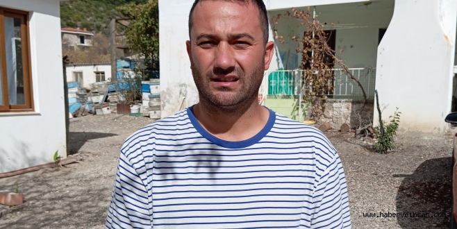 Datça Bademinin “Rekabetten” Daha Büyük ve Önemli Sorunları Var! (6)