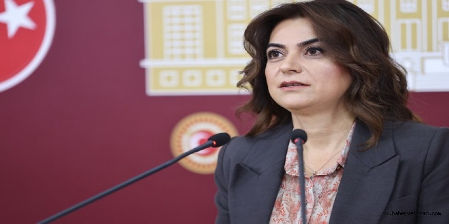 DEM Partili Koçyiğit: İHA-SİHA teknolojisini niye yangınlarla mücadelede kullanmıyorsunuz?