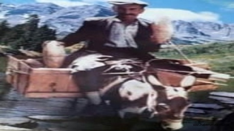 Gök Musa Gızı Fatma (23)