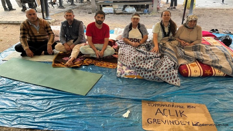 Köylüler, zeytinlikleri için açlık grevinde!
