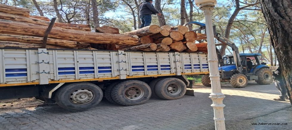 Akyaka Orman Kampı İçin İkinci Dava: Yönetim Planının İptali İsteniyor