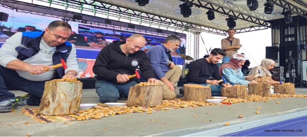 Badem Çiçeği Festivali'nde Umutlar Yükseldi!