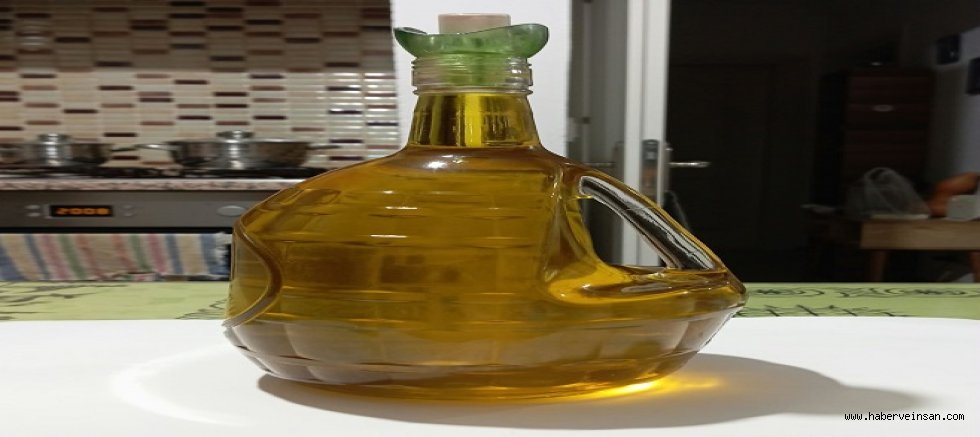 BU YIL 1 KG ZEYTİN VE ZEYTİNYAĞI FİYATI NE OLMALIDIR?