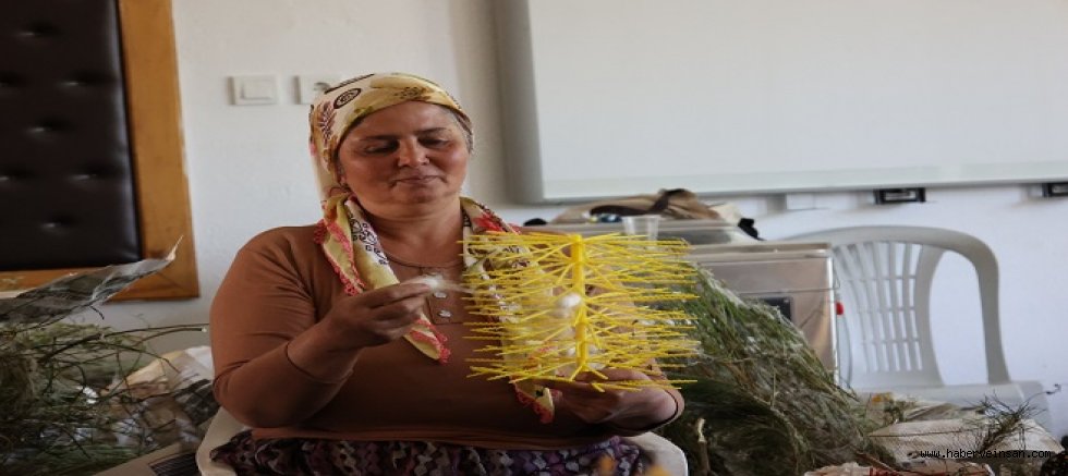 Kozalar, Berekete Dönüştü