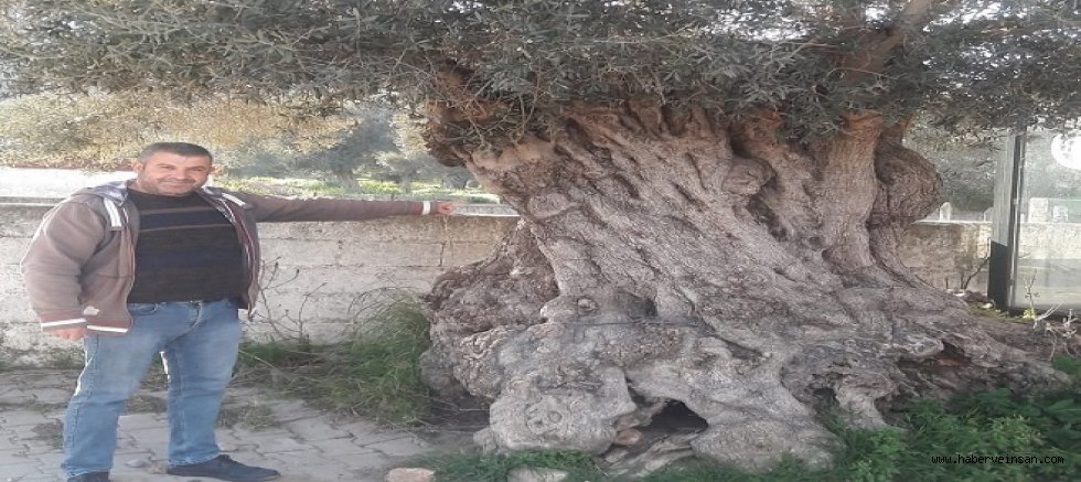 Meclis Komisyonu'ndan geçen enerji ve madencilik düzenlemesi neler getiriyor?