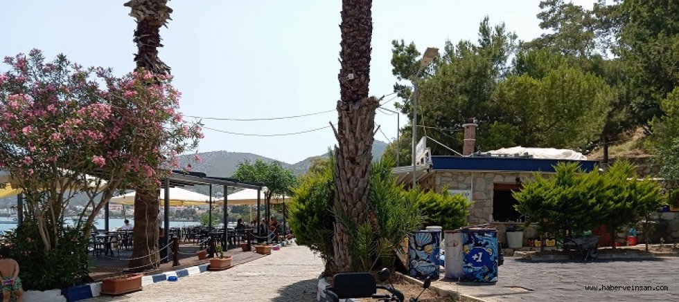 MERCAN KAFE'nin İhale Kapsamından Çıkarılması İçin İmza Toplanıyor!