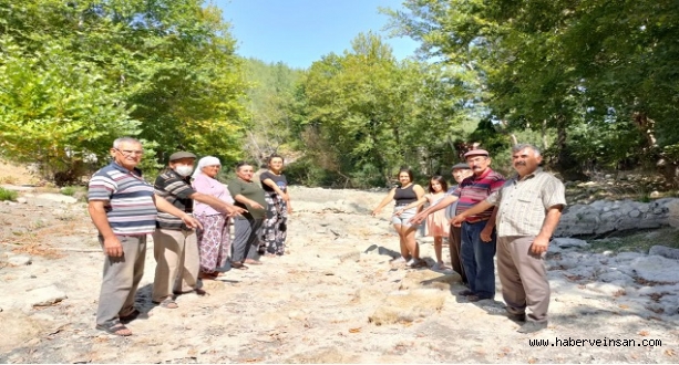 Mesele Sadece Zeytin ve Toprak Değil; Bölgeye Hayat Veren Su Havzasının da Yok Edilmesidir!
