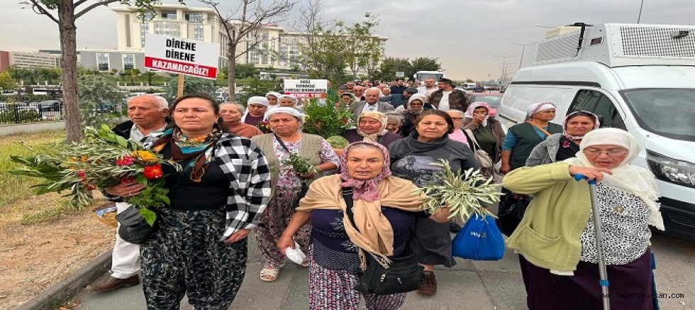 Milas Acele Kamulaştırmaları Duruşması