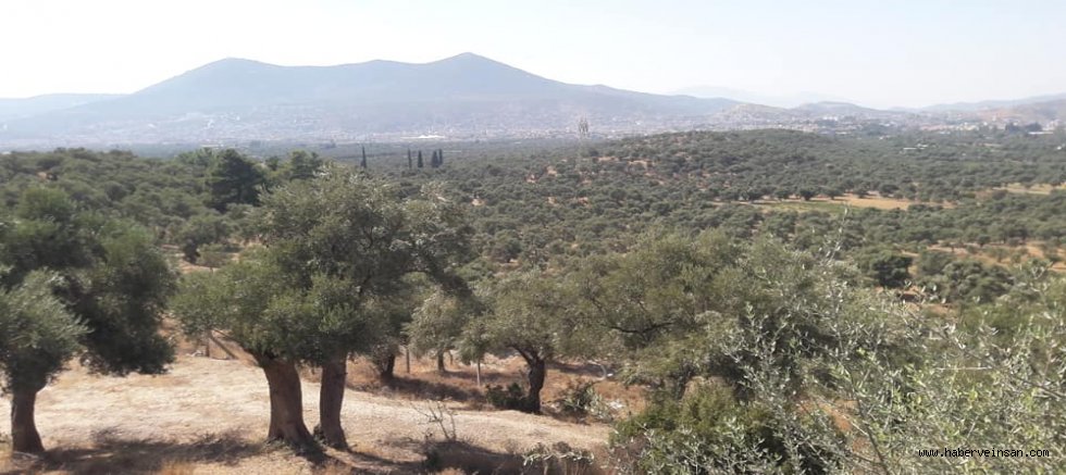 Milas Ovasında, Mobil Yerleşim İstenmiyor!