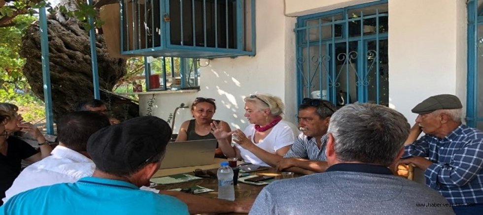 Milas ve Yatağanlı Zeytin Üreticileri Dava Açtı
