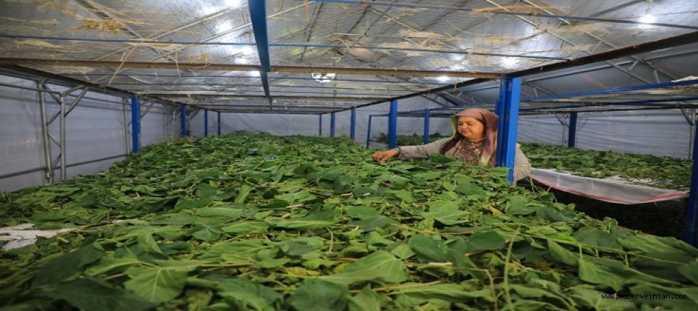 Muğla’da Üretici Kadınlar Meclisi Kuruluyor