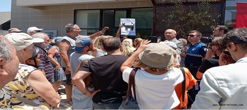 Osman Akın ile Datça'nın Dünü ve Bugünü Üzerine (45)