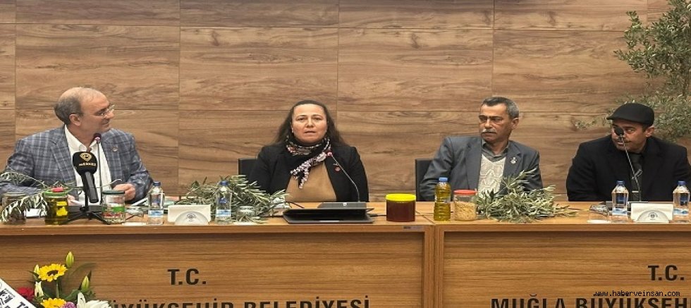 Plansız Kamulaştırma: Kamu Kararı mı, Acele Karar mı?