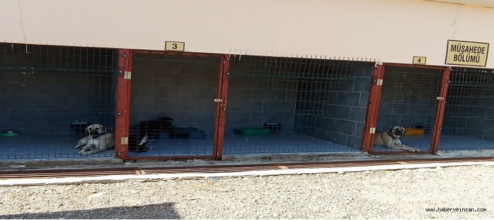 Zamana İhtiyaç Var!