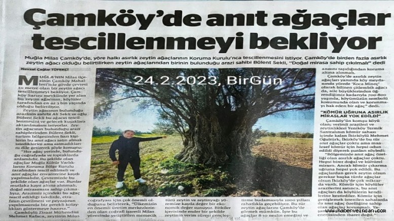 Meclis Komisyonu'ndan geçen enerji ve madencilik düzenlemesi neler getiriyor?