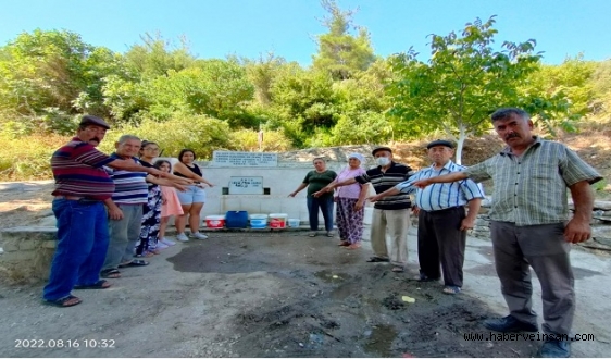 Mesele Sadece Zeytin ve Toprak Değil; Bölgeye Hayat Veren Su Havzasının da Yok Edilmesidir!