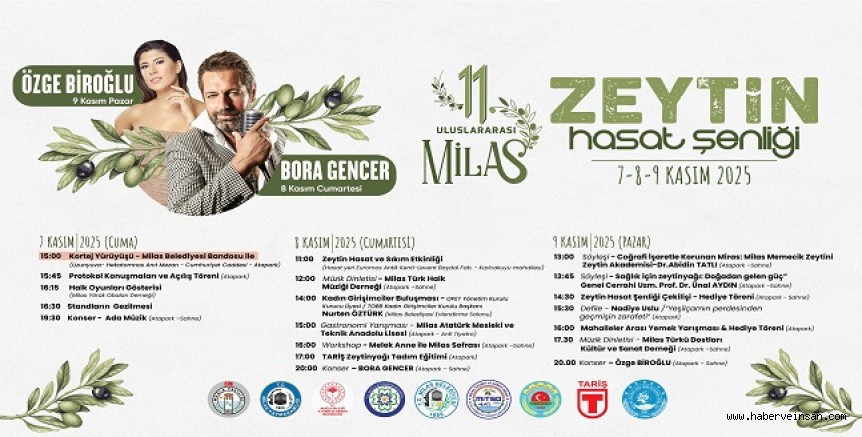 Milas 11. Zeytin Hasat Şenliği Başlıyor