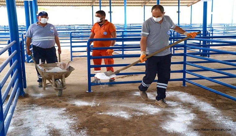 Milas Belediyesi Hayvan Pazarında Kireçleme Çalışması Gerçekleştirdi