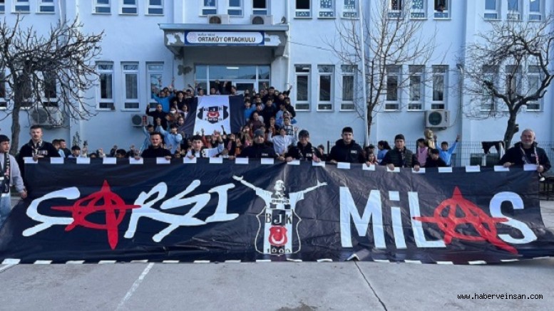 Milas Çarşı Grubundan, Örnek Çalışmalar