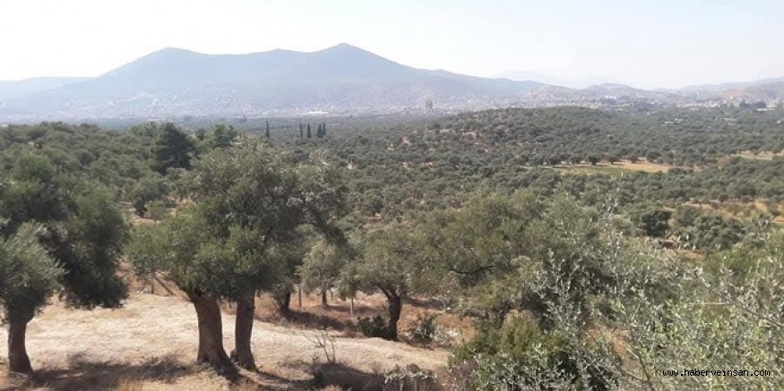 Milas Ovası Korunmalı!