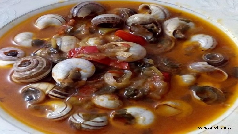 Osman Akın İle Datça'nın Dünü ve Bugünü Üzerine (15)