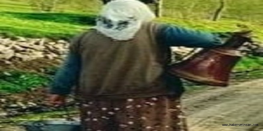 Öykü / Gök Musa Gızı Fatma (24)
