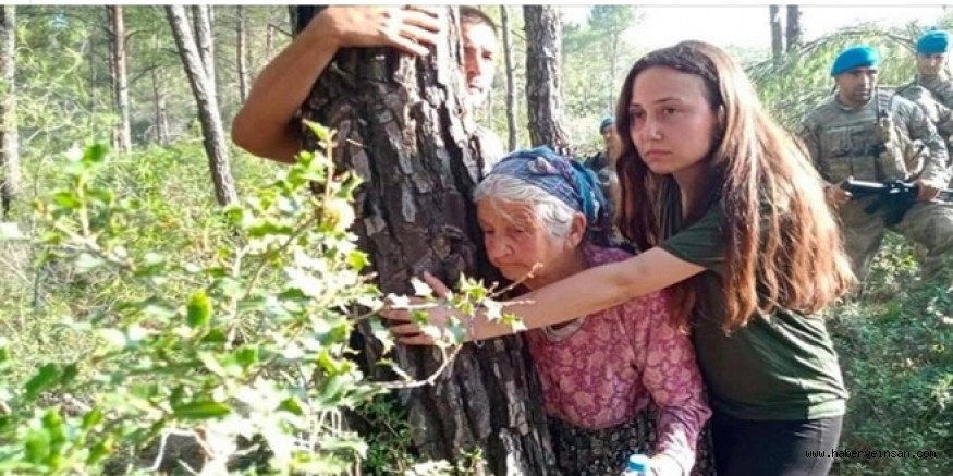 Şimdi Ne Olacak?