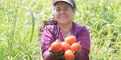 14 Mayıs Dünya Çiftçiler Günü Açıklaması: “Pandemi mücadelesinin kahramanlarının biri de Türk çiftçisidir”