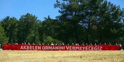 Akbelen Duruşması Bugün Muğla İdari Mahkemede
