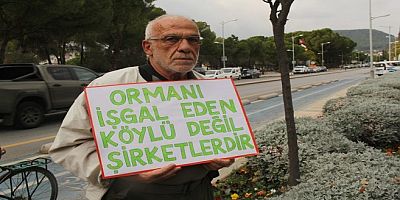 Akbelen Ormanı’nın “Şirin Baba”sına Cumhurbaşkanına hakaretten dava açıldı. İlk Duruşma 14 Nisan'da