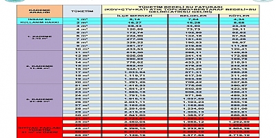 Az Tüketen Az, Çok Tüketen Çok Ödeyecek