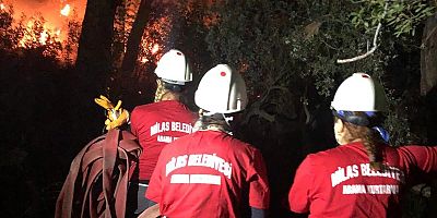 Başkan Topuz’dan, Kıykışlacık Yangıyla İlgili Açıklama