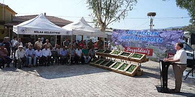 Belediyeden Üreticilere Yüzde 50 Hibeli, Kışlık Sebze Fidesi Desteği