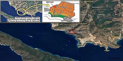 Bodrum’daki Zeytinlik Vurgunu, TBMM Gündeminde
