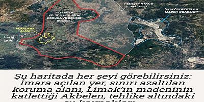 Bodrum ve Milaslılar Dikkat: Hollanda Bağlantılı Dev Yağma