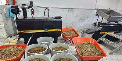 Büyükşehir Can dostlar İçin Mama Üretiyor, Tasarruf Sağlıyor