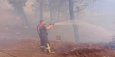 Büyükşehir İtfaiyesi Milas ve Köyceğiz’de Alevlerle Mücadelede