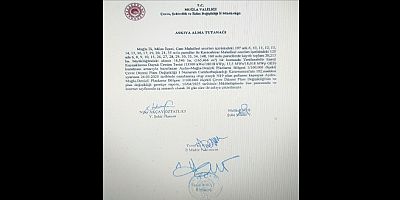 CARYA 4 GES Proje Alanını Kapsayan 1/100.000 Ölçekli Çevre Düzeni Planı Değişikliği Askıya Çıktı