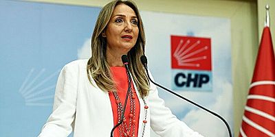 CHP Kadın Kolları Genel Başkanı Aylin Nazlıaka’nın Çocuk İstismarına İlişkin Açıklaması