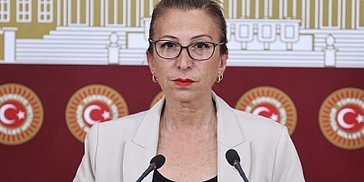 CHP’li Öneş Derici: “Milas’ta maden limanı yapılmasın, İasos cennet kalsın!”