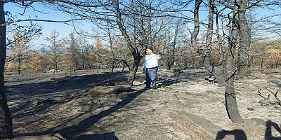 CHP’li Özcan’dan, Tarım ve Orman Bakanına, Orman Yangınlarıyla İlgili 41 Soru