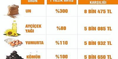 CHP Muğla Milletvekili Girgin'den, Bütçe İçin, Yıkanınca Çeken Yünlü Kazak Benzetmesi