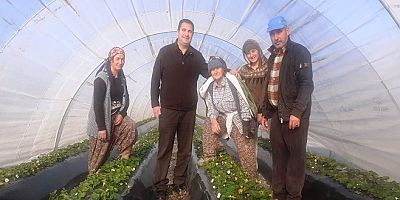 CHP Ortaca İlçe Başkanı Tezcan: “Üreticimizi Küstürmeyin”
